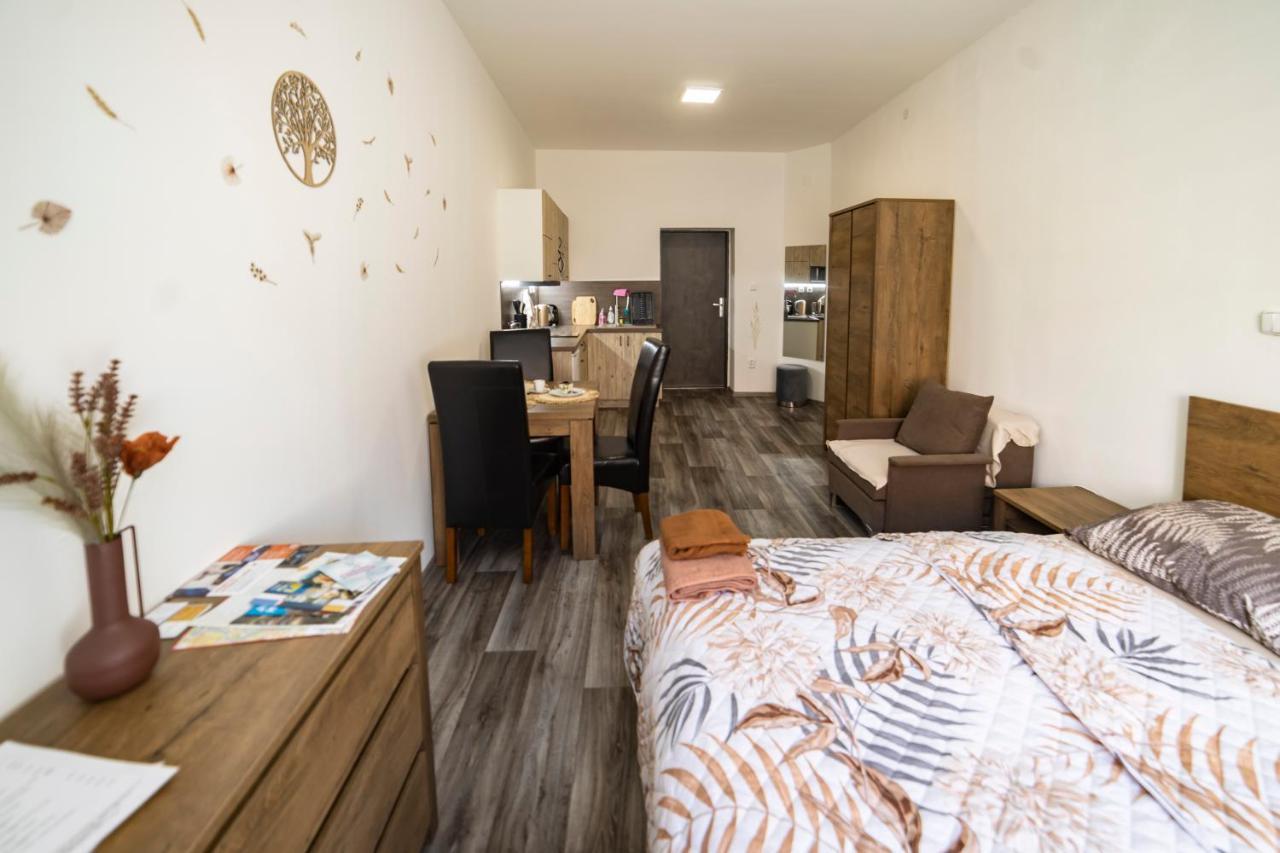 Apartmany Nezarka A Privatni Wellness Jindrichuv Hradec Luaran gambar
