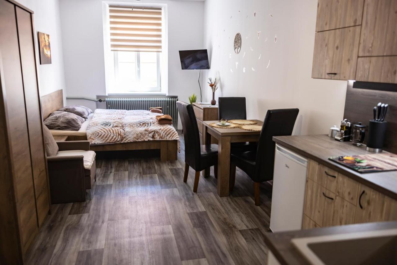 Apartmany Nezarka A Privatni Wellness Jindrichuv Hradec Luaran gambar